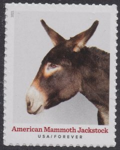 US 5587 Heritage Breeds American Mammoth Jackstock F single MNH 2021