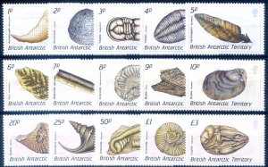 Definitive. 1990 Fossils.