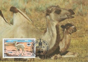 Mongolia 1446   FDC   World Wildlife Fund   Camel   Mint NH VF 1990   PD