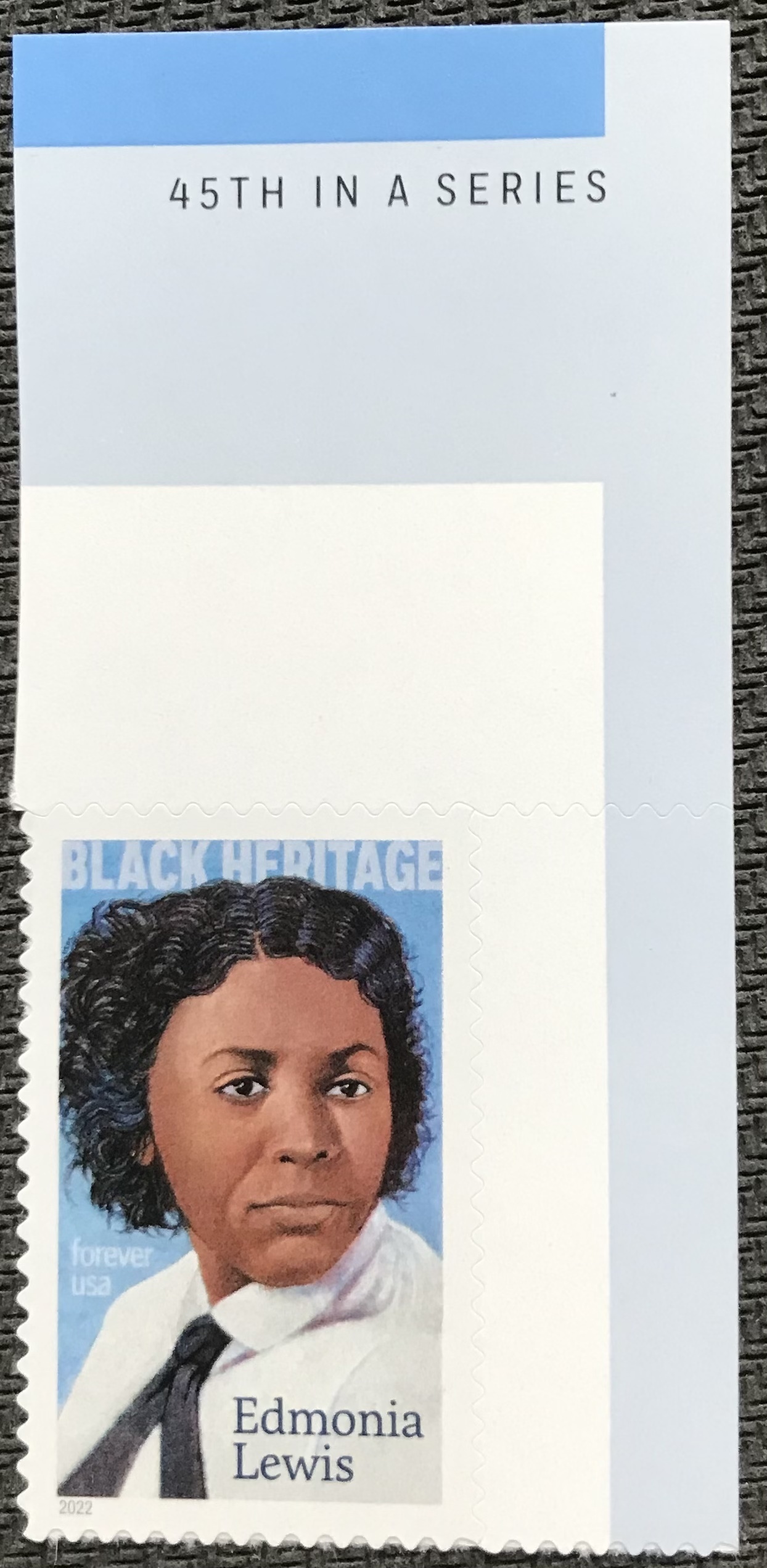 US MNH 5663 Single W/Selvage Edmonia Lewis Black Heritage (.58
