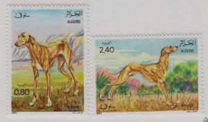 ALGERIA MNH Scott # 727-728 Sloughi Dog (2 Stamps)