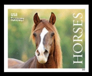 US 5892a Horses B imperf NDC single MNH 2024 after June 30