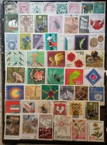 POLAND Vintage Stamp Lot Collection Used  CTO T5855