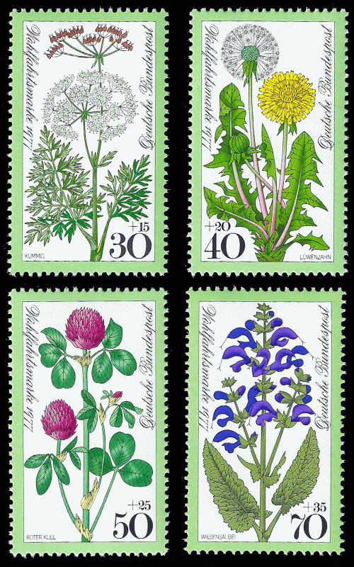 Germany, FRG 1977 Sc B538-41 ** Wildflowers