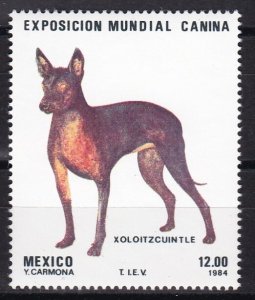 Mexico, Fauna, Dogs MNH / 1984