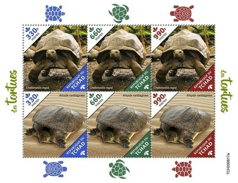 Chad - 2020 Softshell Turtle & Galapagos Tortoise - 6 Stamp Sheet - TCH200617a 