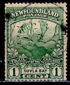 Newfoundland; 1919: Sc. # 115: Used Single Stamp