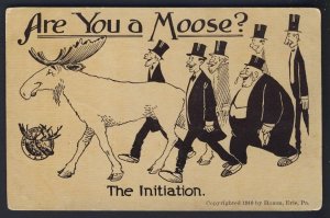 POSTAL HISTORY -  FRATERNITY - ARE YOU A MOOSE?  POSTCARD