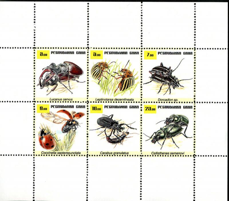 YAKUTIA RUSSIA LOCAL SHEET INSECTS BEETLES