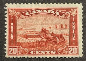 Canada, Scott 175, Mint NH, F-VF