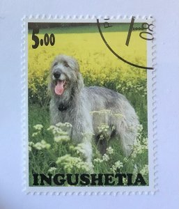 Russia, Ingushetia Illegal local Stamps 2000 - 5r, dog breed, Irish Wolfhound