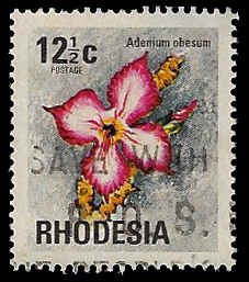 Rhodesia #338 Used; 12 1/2c Pink Sabi Star flower (1974) (1)