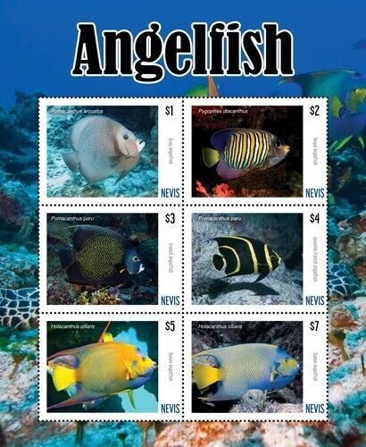 Nevis 2019 - Angelfish - Sheet of 6 stamps- Scott #2000 - MNH