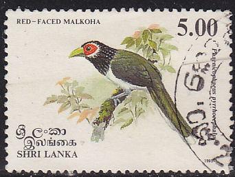 Sri Lanka 1081 Red-Faced Malkoha 1993