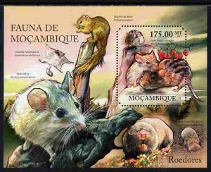 Mozambique 2011 Rodents perf s/sheet containing octagonal...