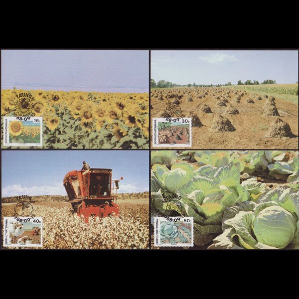 BOPHUTHATSWANA 1988 - Maximum Cards - 212-5 Crops Set of 4