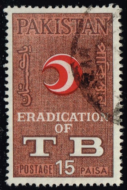 Pakistan **U-Pick** Stamp Stop Box #154 Item 55