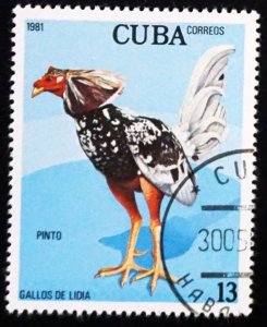 Cuba Sc# 2415  FIGHTING COCKS Roosters 13c Pinto  1981 used cto