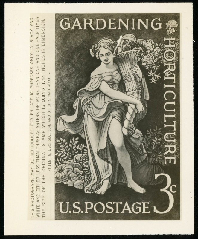 USA #1100 gardening Horticulture Issue A547 Photo Essay BW 3x3½ Publicity Card