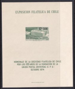 Chile 441 Footnoted Souvenir Sheet MNH VF
