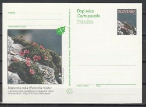 Slovenia, 1995 issue. Alpine Rose Postal Card. ^