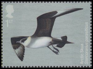 GB 4655 Migratory Birds Arctic Skua 1st single MNH 2022