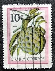 Cuba 804 Used