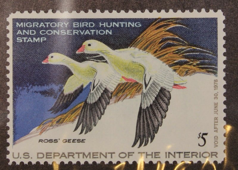 Scott RW44 1977 $5.00 Duck Stamp MNH Nice Stamp SCV $10.00