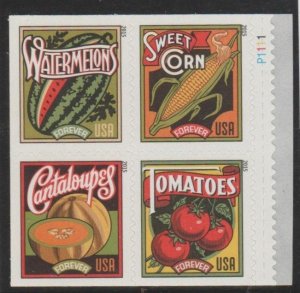 5004-07, BLK of 4 W/PL# P1111. Summer Harvest, MNH, Forever.