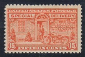 U.S. Scott #E13 Special Delivery Stamp - Mint NH Single