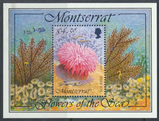 Montserrat    SG  MS955  SC#859 Flowers of the Sea 1995