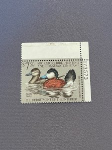 RW48, Ruddy Ducks, Mint OGNH w/ plate # discoloration on selvage, CV $30.00