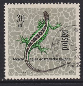 Poland 1134 Sand Lizard 1963