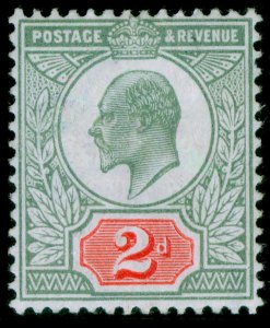 GB EDVII SG228 SPEC M11(3) 2d pale greyish green & scarlet-verm M MINT. Cat £280