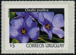 Uruguay #1761 Oxalis Pudica Flowers 5p Postage Stamp Latin America 2002 Mint NH