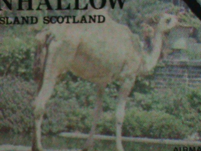 ​GRATE BRITAIN-EYNHALLOW STAMP-1977 WORLD ENDANGER ANIMALS CTO SHEET VERY FINE