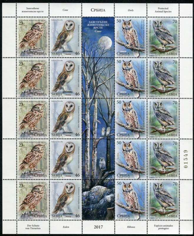 1077 SERBIA 2017 - Birds - Owls - Protected Animal Species - MNH Miniature Sheet