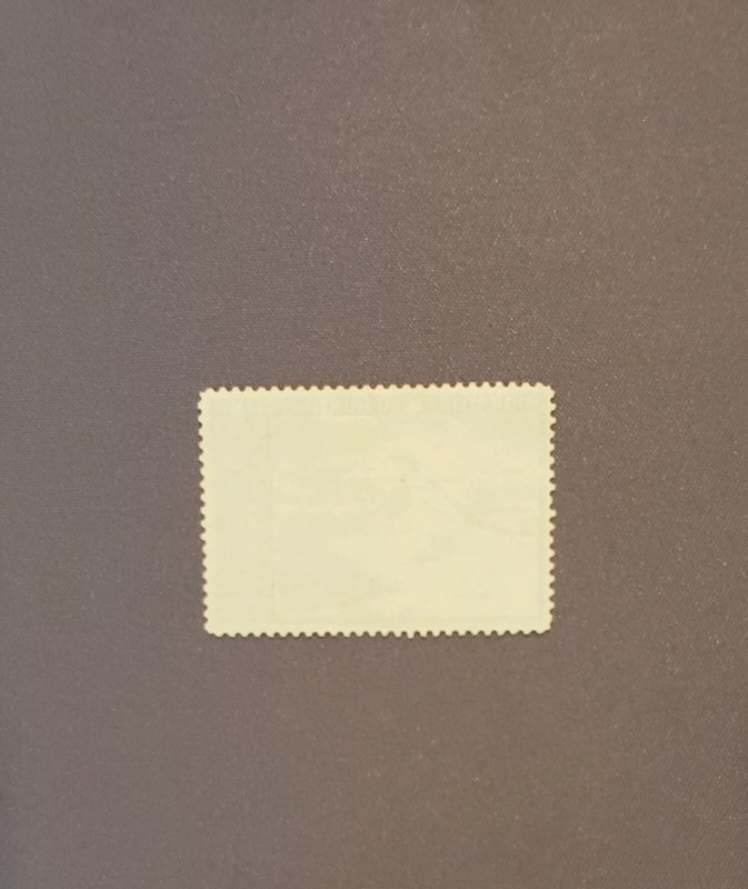 RW34, Old Squaw, Unsigned, $30.00