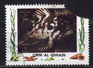 Umm al Qiwain (Unlisted) - CTO - Grouper? (Damaged)