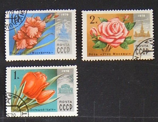 Flowers, USSR, 1978, (1505-Т)