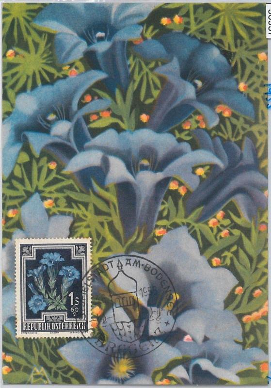56937 - AUSTRIA - POSTAL HISTORY: MAXIMUM CARD 1955 - FLOWERS