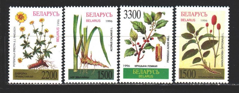 Belarus. 1996. 158-61. Marsh plants, flowers. MNH.