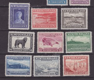 NEWFOUNDLAND #253-266 never hinged complete set