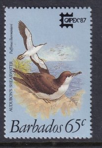 Barbados 703 Bird MNH VF