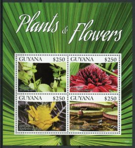 Guyana 2015 MNH Plants & Flowers 4v M/S I Yerba Mate Torch Ginger Nature Stamps