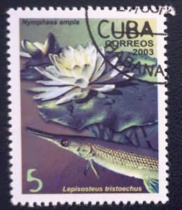 CUBA Sc# 4310  FLORA & FAUNA flowers & animals 5c   2003  used / cto