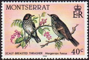 Montserrat 529 - Mint-NH - 40c Scaly-breasted Thrashers (1984) (cv $0.90)