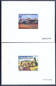 Cameroon 1980 Pictorials Deluxe Proofs. VF and Rare