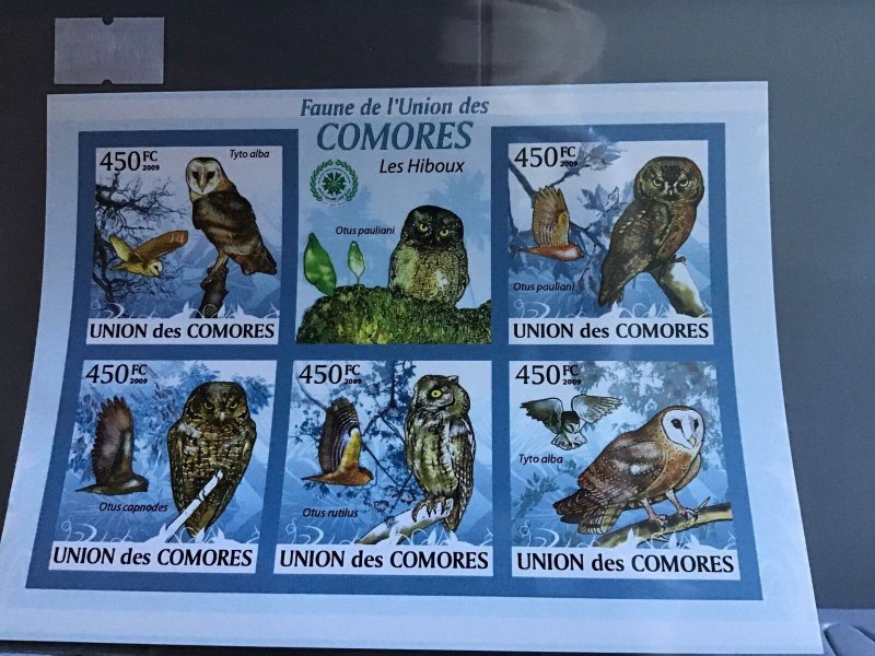 Comoro Islands 2009 Owls  mint never hinged stamps sheet R24109