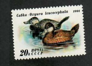 Russia; Scott 6011; 1991;  Unused; NH; Ducks